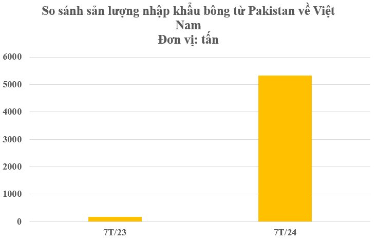 'Vàng trắng trên cây' từ Pakistan liên tục đổ bộ vào Việt Nam: Nhập khẩu tăng hơn 3.000%, nước ta tiêu thụ hàng triệu tấn mỗi năm- Ảnh 3.