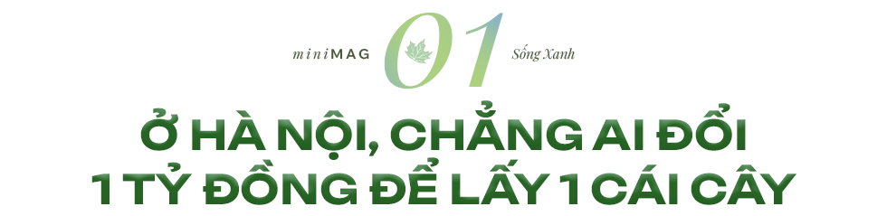 Nếu bắt đầu ngay hôm nay , Việt Nam cần 20 năm mới có thành phố xanh- Ảnh 1.