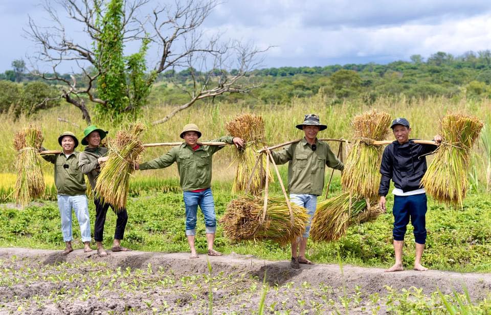 Thất trận với lúa nước mùa khô tại Angola, phải phá bỏ nửa diện tích, ông chủ trang trại Việt 