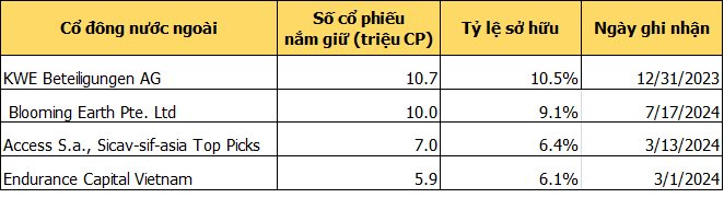 Sau Imexpharm, Dược Hậu Giang, Domesco... thêm một DN y tế Việt Nam nâng sở hữu cho NĐT nước ngoài vượt 51%- Ảnh 1.