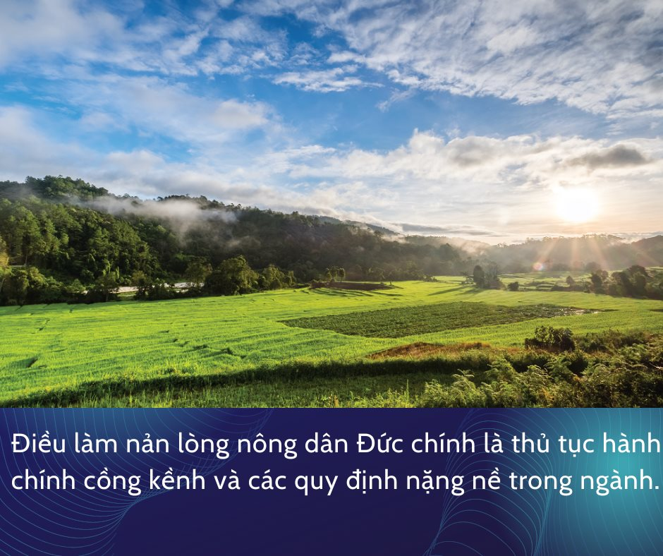 Đầu tàu kinh tế châu Âu đối mặt câu hỏi sống còn: Ai sẽ nuôi sống 83 triệu dân- Ảnh 5.