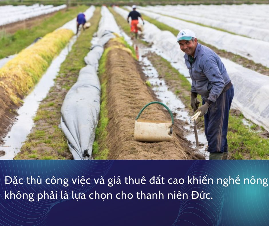 Đầu tàu kinh tế châu Âu đối mặt câu hỏi sống còn: Ai sẽ nuôi sống 83 triệu dân- Ảnh 3.