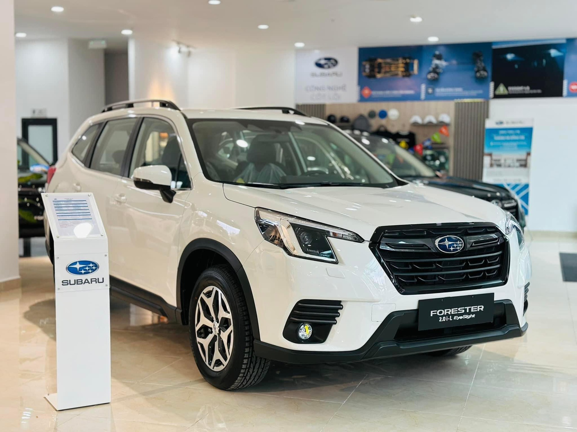 Câu hỏi khó lúc này: Mua Subaru Forester nhập Thái lúc này hay chờ bản mới nhập Nhật?- Ảnh 1.