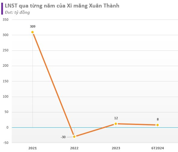 Xi măng Xuân Thành giảm 40% lợi nhuận trong nửa đầu năm, sở hữu khối tài sản gần tỷ đô, chủ yếu từ vay nợ- Ảnh 1.