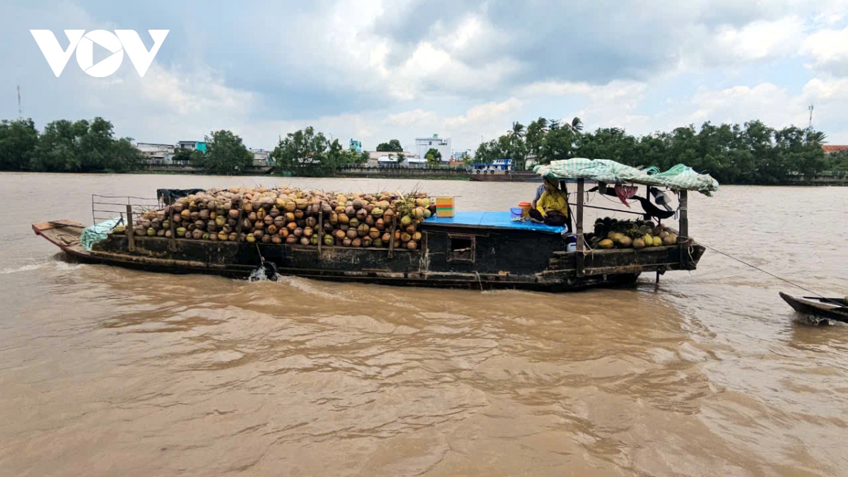 Giá nhiều loại trái cây ở Tiền Giang và Bến Tre tăng cao do thiếu nguồn cung- Ảnh 2.