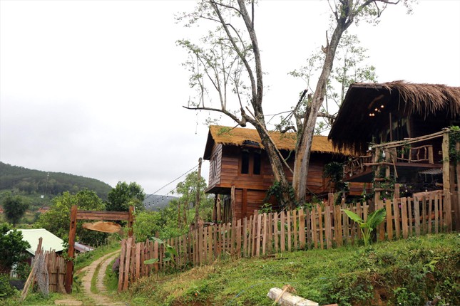 Tiếp bài 'Loạt biệt thự sai phạm ở Măng Đen': Xử lý hàng loạt dự án mất rừng- Ảnh 1.