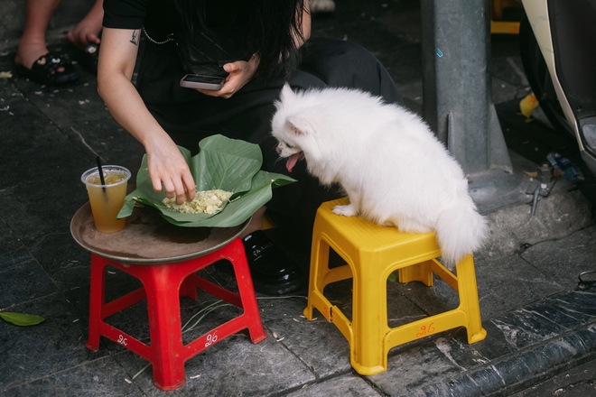 Giữa cái nắng 35 độ, hàng trăm “nàng thơ” dù toát mồ hôi vẫn miệt mài check-in phố thu Hà Nội- Ảnh 21.