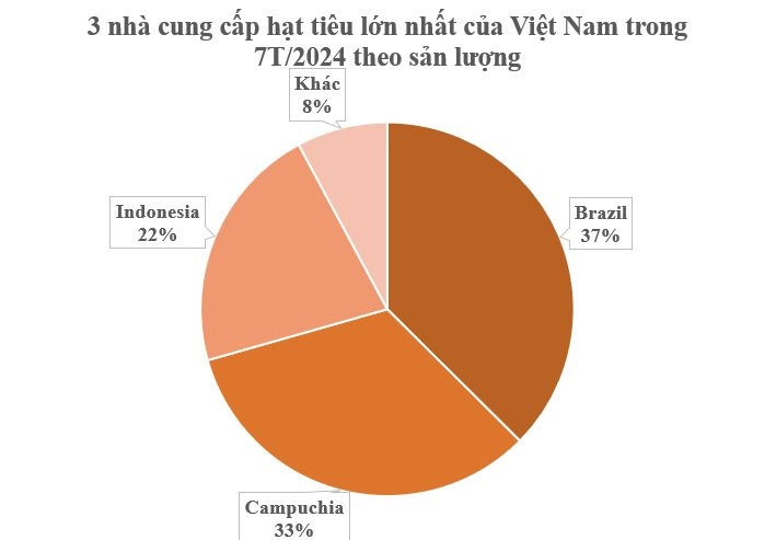 Cứu tinh từ Campuchia, Brazil đổ bộ giúp Việt Nam xuất khẩu vượt xa cả thế giới: Thu hơn 700 triệu USD từ đầu năm, 120 quốc gia liên tục chốt đơn- Ảnh 2.