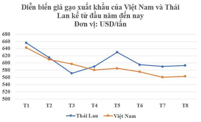 Một 'báu vật trời ban' đưa Việt Nam và Thái Lan vào cuộc đua gay gắt chưa từng có: Giá tăng cao kỷ lục chỉ trong 1 năm, nước ta nắm giữ 1 lợi thế áp đảo- Ảnh 2.