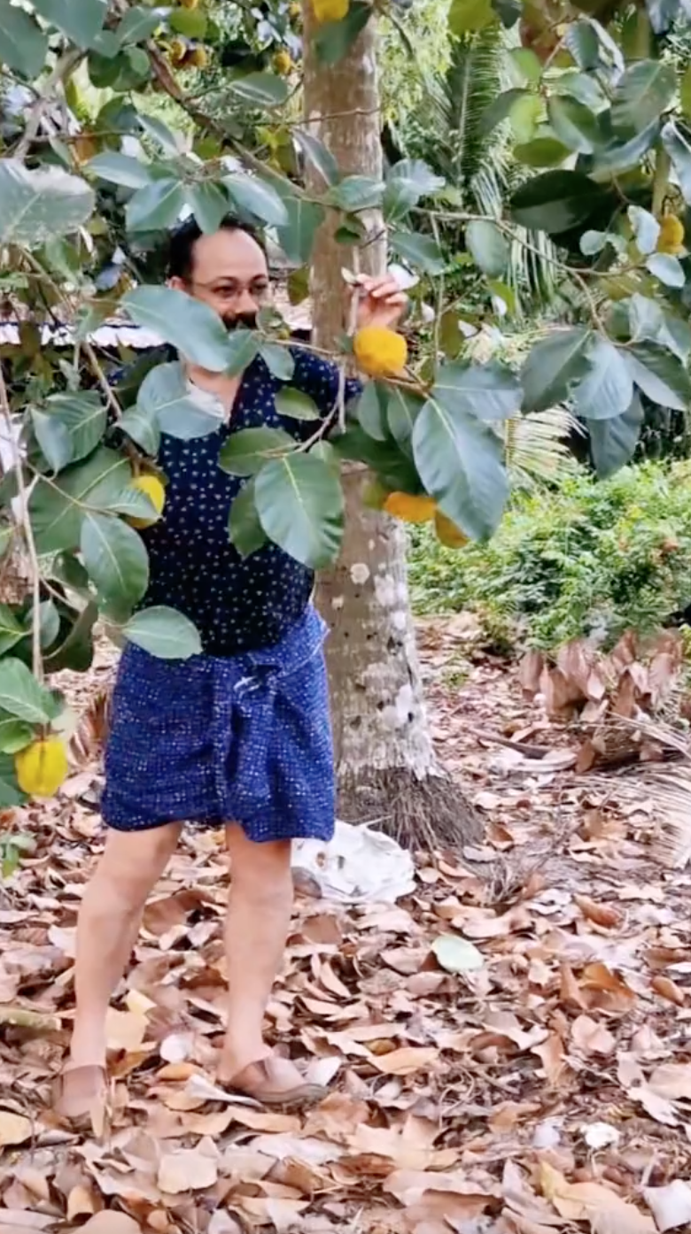 Loại mít Loại mít