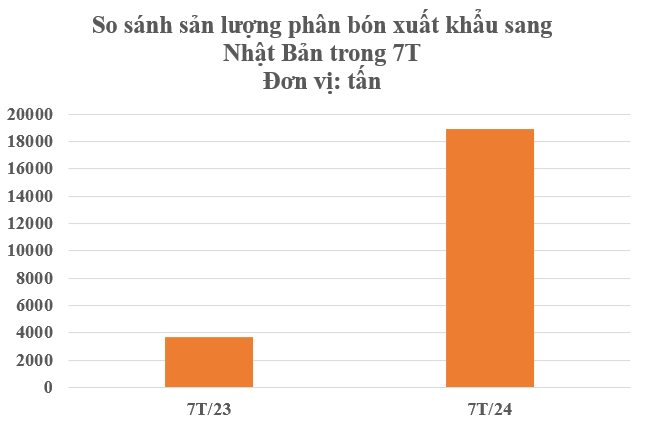 Xuất khẩu tăng hơn 400%, Nhật Bản bất ngờ mạnh tay săn lùng mặt hàng này của Việt Nam - Một động thái của Trung Quốc khiến nguồn cung toàn cầu chao đảo- Ảnh 3.