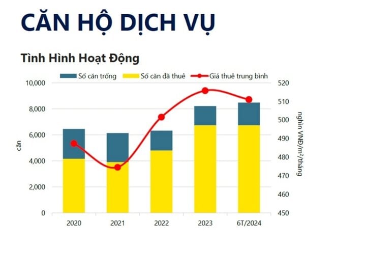 FDI thúc đẩy căn hộ dịch vụ cho thuê phát triển ở TP.HCM- Ảnh 3.