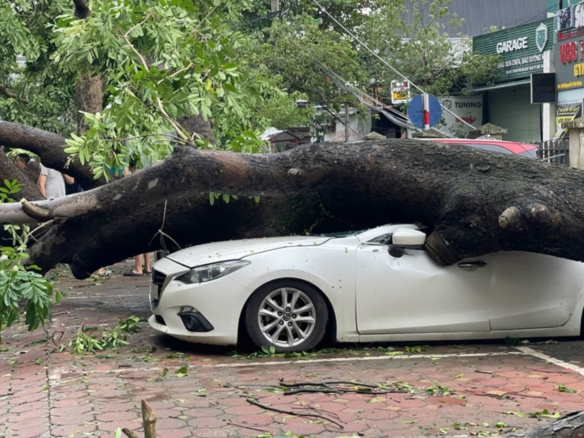 Các công ty bảo hiểm dự tính bồi thường hàng nghìn tỷ đồng thiệt hại do bão số 3- Ảnh 1.