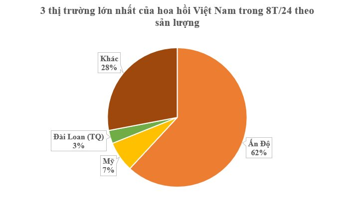 Loại cây lấy hoa cực hiếm trên thế giới nhưng Việt Nam sở hữu hàng chục nghìn ha: Thu về gần 50 triệu USD kể từ đầu năm, sản lượng đứng thứ 2 thế giới- Ảnh 2.