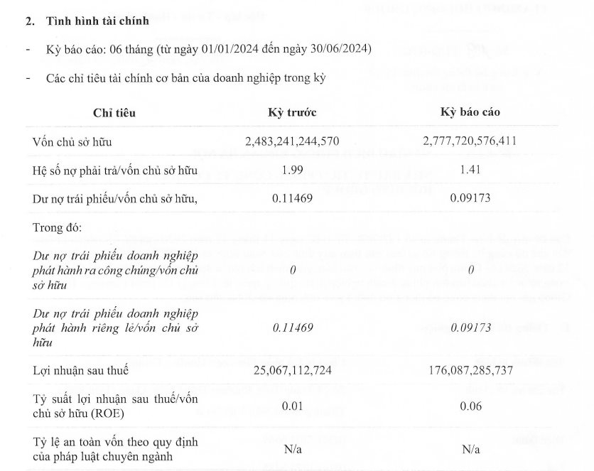 Nửa đầu năm 2024, chủ đầu tư chuỗi dự án nghỉ dưỡng Flamingo báo lãi gấp 7 lần cùng kỳ- Ảnh 1.