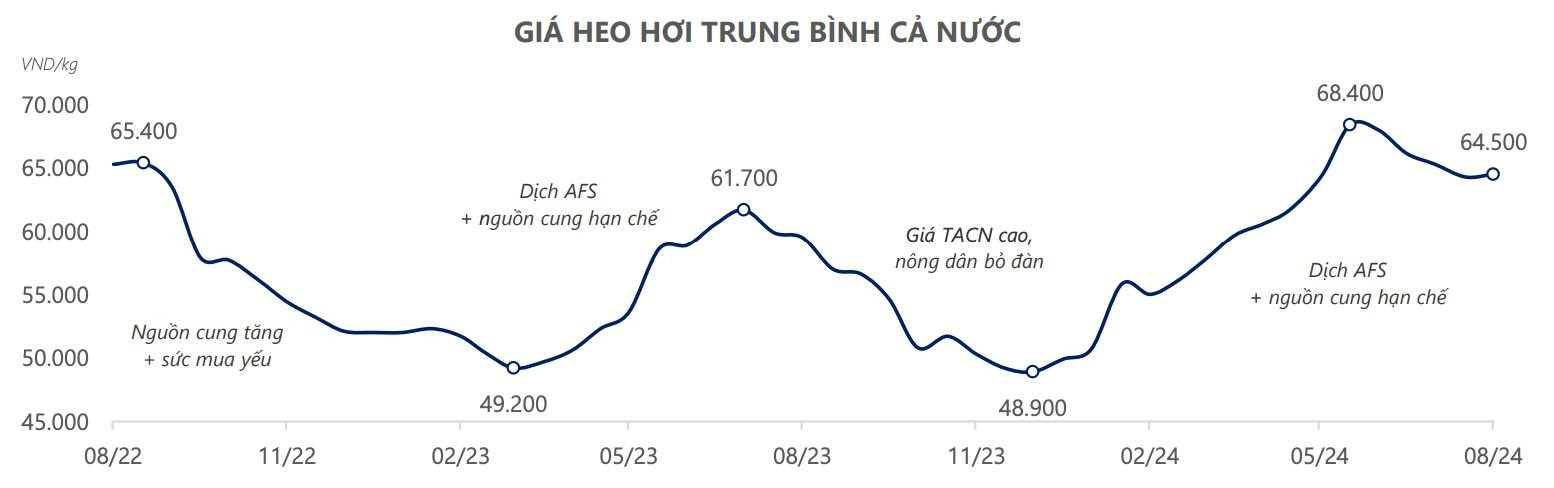 Loạt cổ phiếu của các công ty hàng tiêu dùng như Masan Group, BAF, Dabaco, HAGL... bật tăng mạnh đầu phiên 10/9, điều gì đang xảy ra?- Ảnh 2.