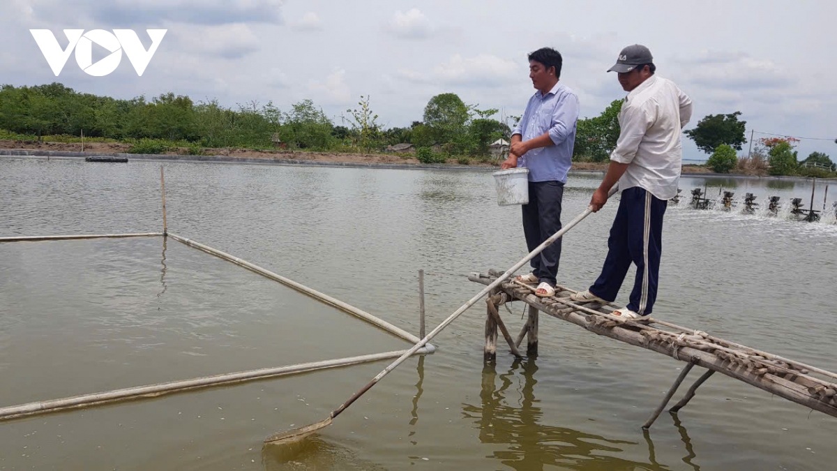 Bị tàn phá nặng nề do bão, ngành thủy sản tìm cách đạt mục tiêu 9,5 tỷ USD- Ảnh 2.