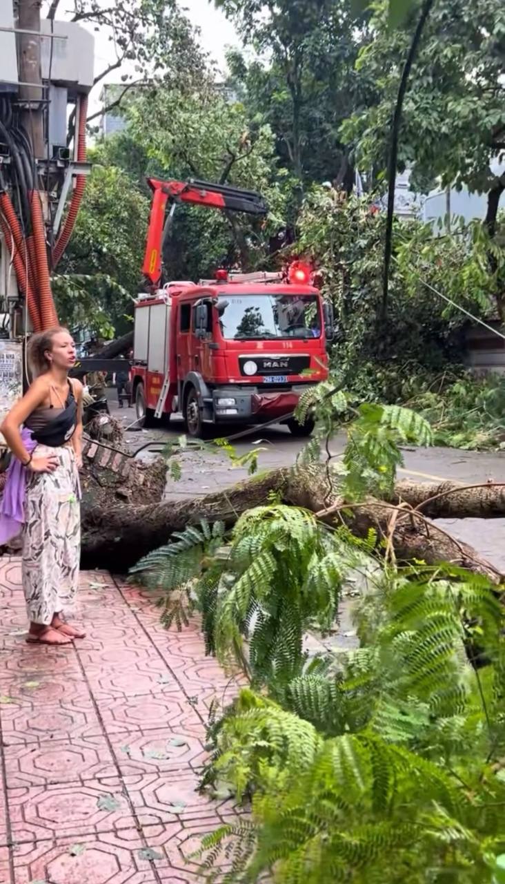 Hành động đẹp của du khách quốc tế sau cơn bão số 3 khiến cộng đồng mạng hết lời khen ngợi- Ảnh 7.