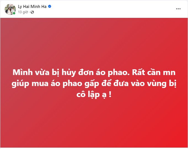 Dàn sao Việt quyên góp lớn, tận tay gửi nhu yếu phẩm cứu trợ đồng bào bão lũ- Ảnh 3.