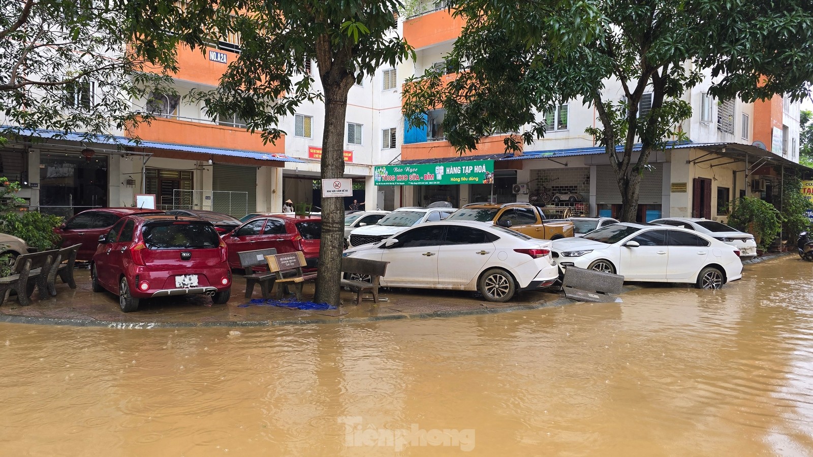 Nhiều tài sản bạc tỷ 'trồi lên' khi lũ rút ở Thái Nguyên- Ảnh 14.