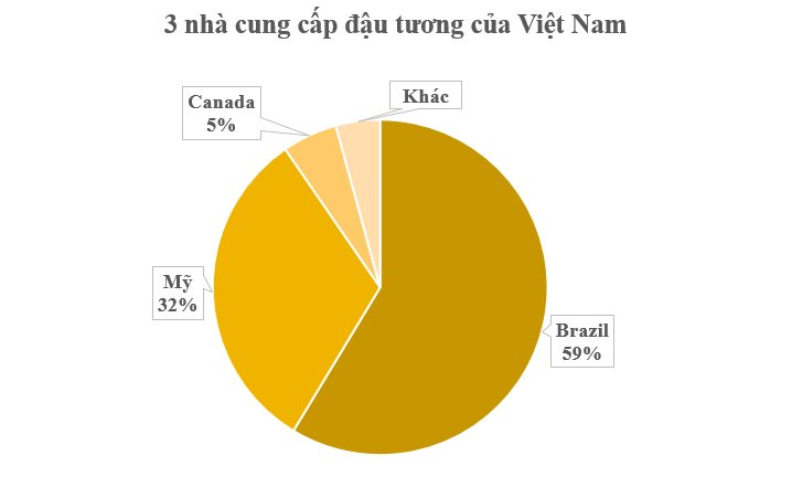 Không phải gạo hay lúa mì, 3 cường quốc của thế giới đua nhau đưa một loại hạt giá rẻ đến Việt Nam: Nhập khẩu tăng hơn 200% chỉ trong 1 tháng, nước ta nhập khẩu đứng thứ 3 toàn cầu- Ảnh 3.