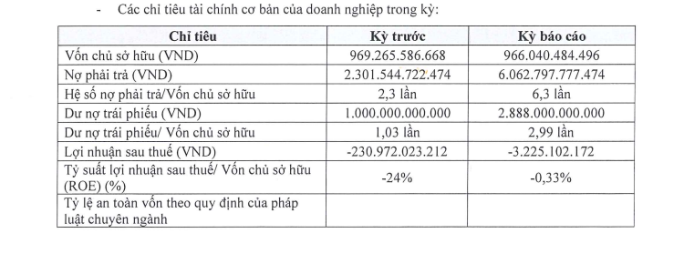 Hưng Thịnh Phát tiếp tục báo lỗ- Ảnh 1.