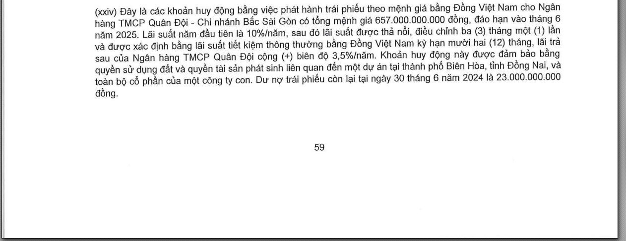 Vừa cam kết rót thêm 1.100 tỷ đồng, MB Bank đang cho vay và nắm bao nhiêu trái phiếu Novaland?- Ảnh 5.