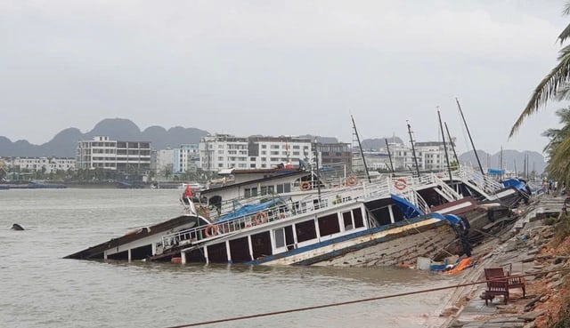 Thần tốc hơn bao giờ: Vịnh Hạ Long “hồi sinh” sau bão, chính thức đón khách trở lại vào ngày hôm nay- Ảnh 3.