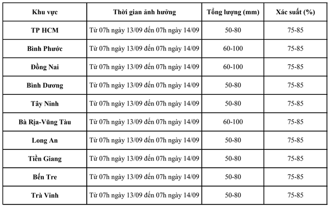 TPHCM và Nam bộ đón đợt mưa dông diện rộng kéo dài- Ảnh 2.