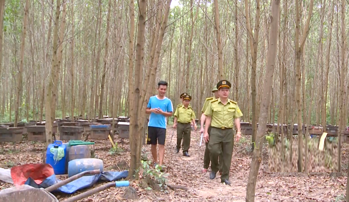 Anh nông dân nuôi con "cần cù", nhẹ nhàng thu hàng trăm triệu mỗi năm- Ảnh 5.