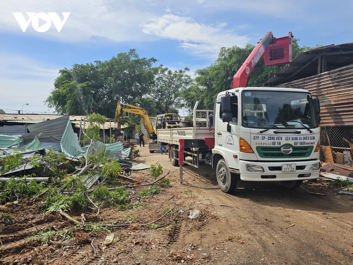 Cưỡng chế trường hợp lấn chiếm đất đai, xây dựng trái phép ở Quy Nhơn (Bình Định)- Ảnh 2.