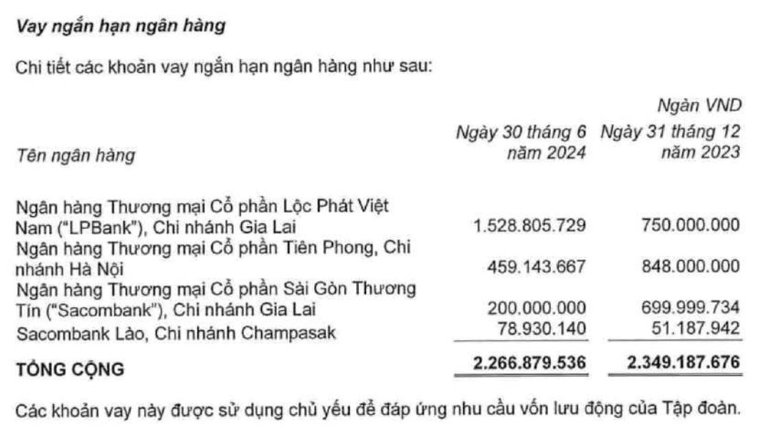 Bầu Đức hưởng 200 triệu/tháng tại Hoàng Anh Gia Lai, đem 90 triệu cổ phiếu HAG thế chấp cho LPBank- Ảnh 2.