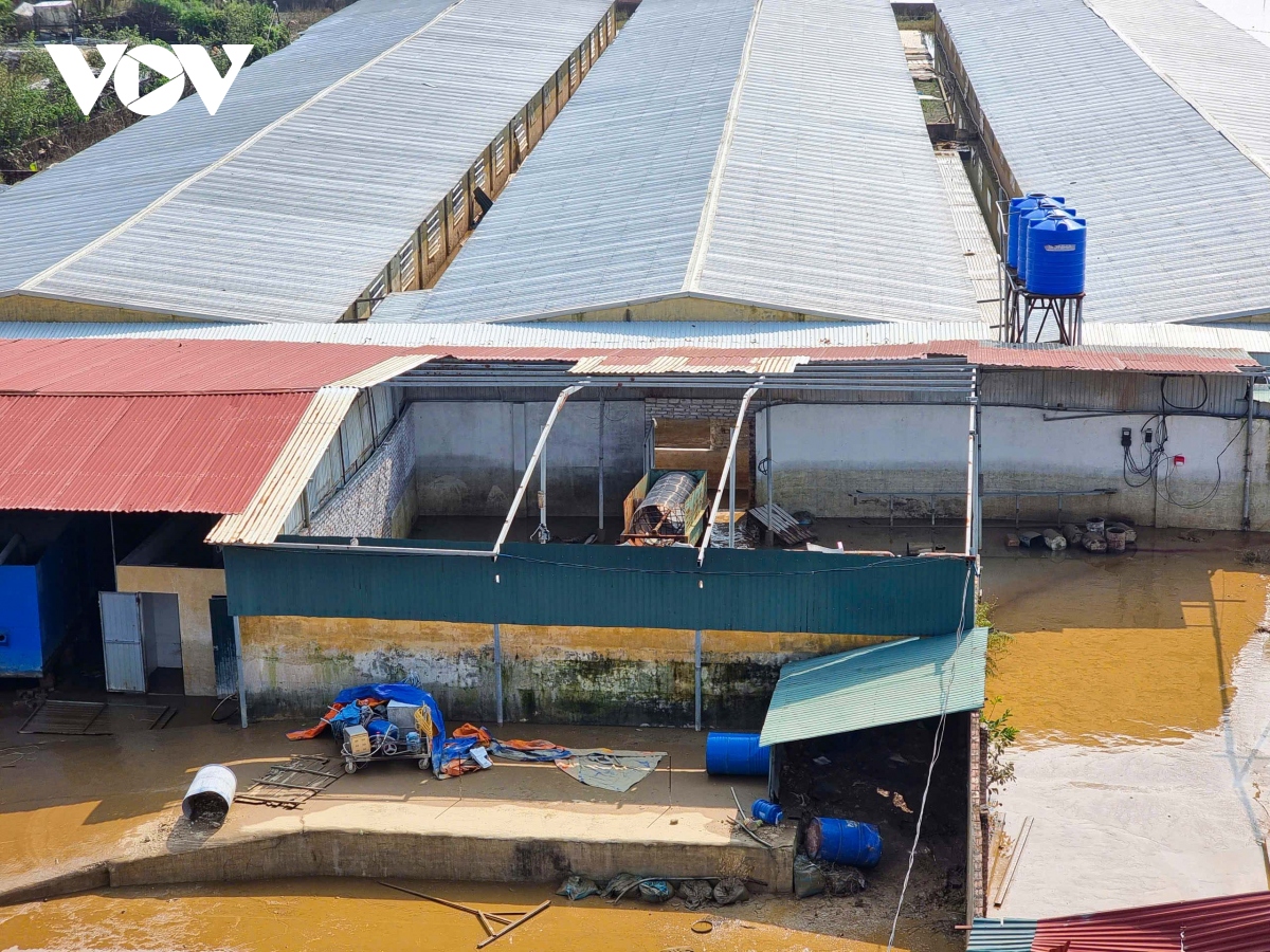 Khung cảnh tan hoang tại loạt công trình sai phép bủa vây cầu nghìn tỷ ở Bắc Ninh- Ảnh 6.