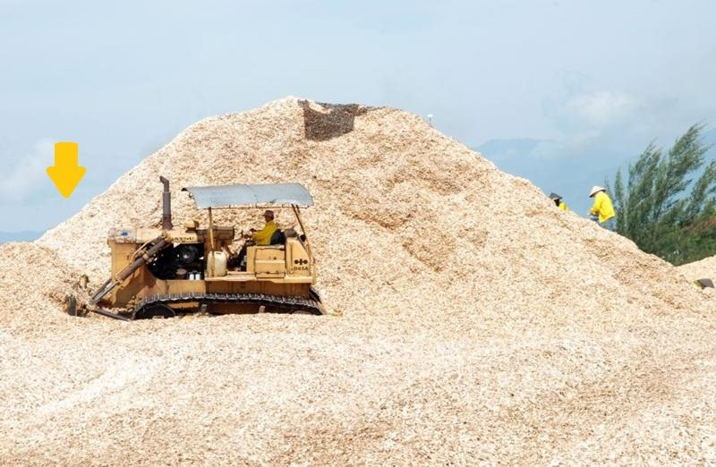 Một thứ ở VN bị bão Yagi tàn phá có thể "tái chế" thành mặt hàng tỷ đô, nên xử lý ngay để giảm thiệt hại- Ảnh 1.