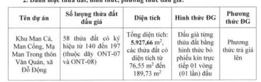 2 huyện vùng ven Hà Nội chuẩn bị đấu giá hơn 80 lô đất, giá khởi điểm từ 5,3 triệu đồng/m2- Ảnh 1.