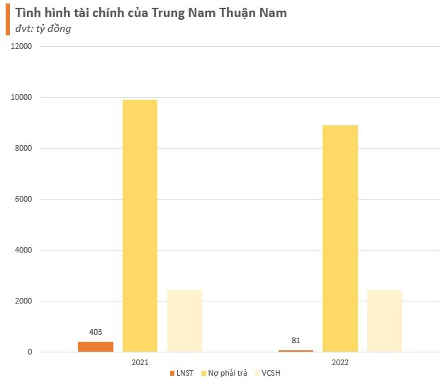 Dự án điện của Trung Nam hưởng giá ưu đãi trái quy định khiến EVN thiệt hại 900 tỷ đồng kinh doanh ra sao?- Ảnh 3.