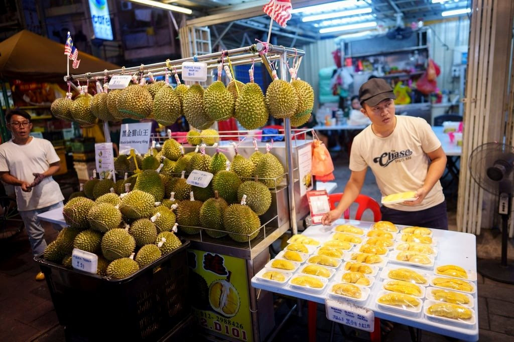 Chiều lòng khách Trung Quốc, nông dân ở quốc gia Đông Nam Á này muốn đổi vị cả giống sầu riêng 'vua' trứ danh- Ảnh 2.