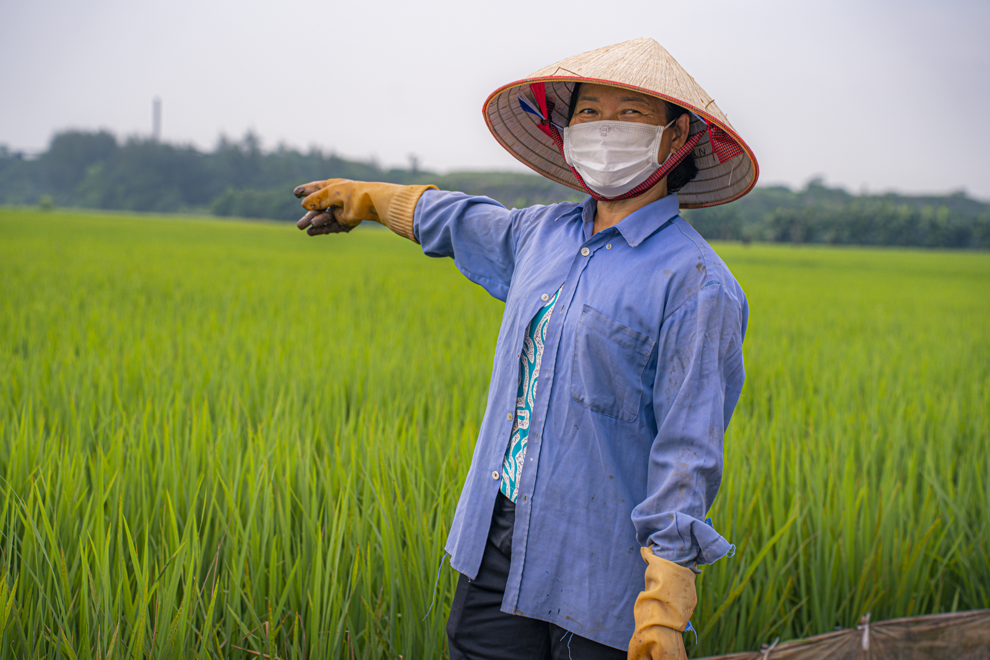 Toàn cảnh khu đất sẽ được đầu tư 8.000 tỷ để trở thành đại đô thị của Eurowindow tại Thái Bình- Ảnh 8.