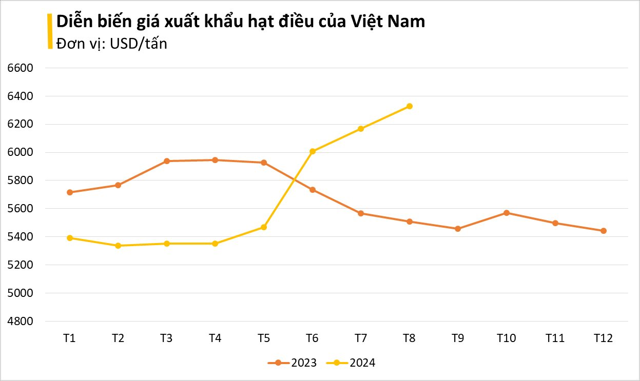 Không phải gạo, loại 'hạt vàng' này của Việt Nam được gần 1/2 thế giới chốt đơn: Mỹ, Trung Quốc mạnh tay săn lùng, giá lên đỉnh từ đầu năm- Ảnh 2.