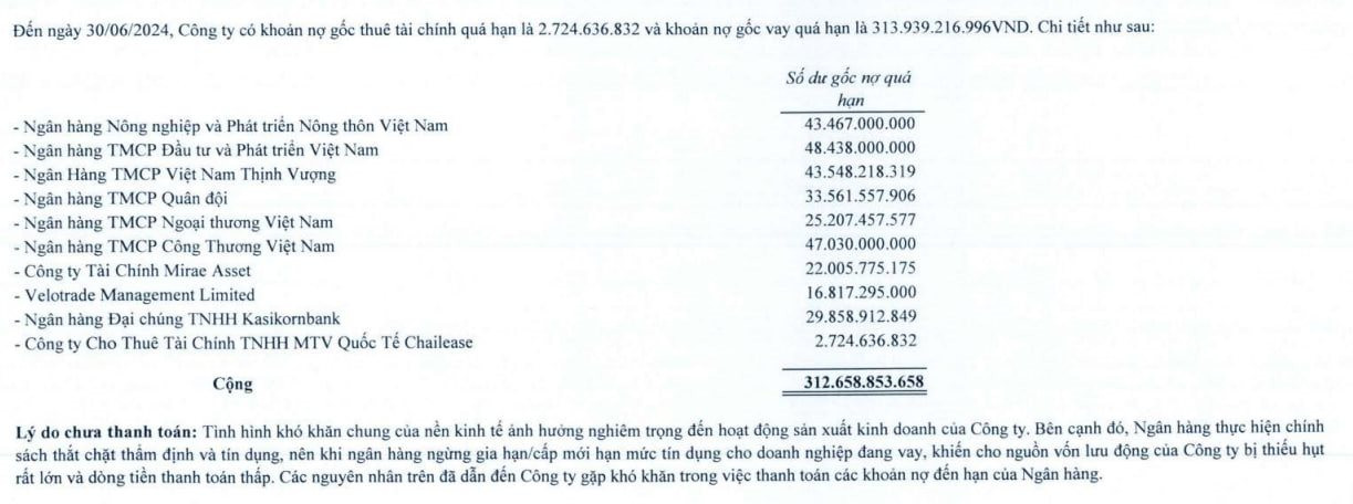 Một công ty trên sàn nợ quá hạn hàng loạt ngân hàng- Ảnh 1.