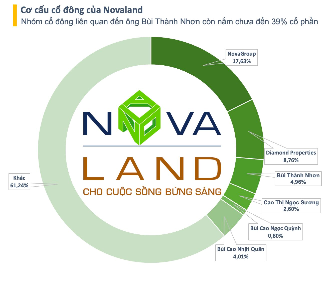 Cổ phiếu rơi vào diện cảnh báo, bị cắt margin, Novaland đưa “deadline” công bố BCTC kiểm toán- Ảnh 2.