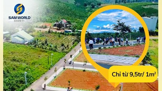 Bắt tạm giam Giám đốc Lê Văn Xá- Ảnh 1.