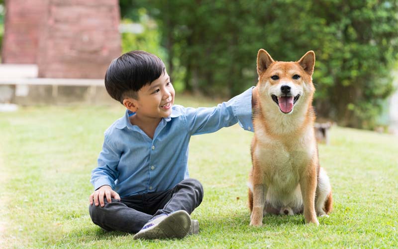 Giữa trưa không thấy con đâu, mẹ hốt hoảng chạy ra đường tìm rồi giật mình khi thấy cảnh tượng trước mắt- Ảnh 4.