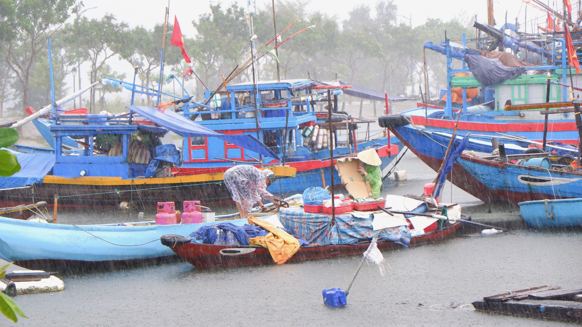 Gió giật liên hồi, ngư dân Đà Nẵng hối hả chạy đua với bão số 4- Ảnh 2.