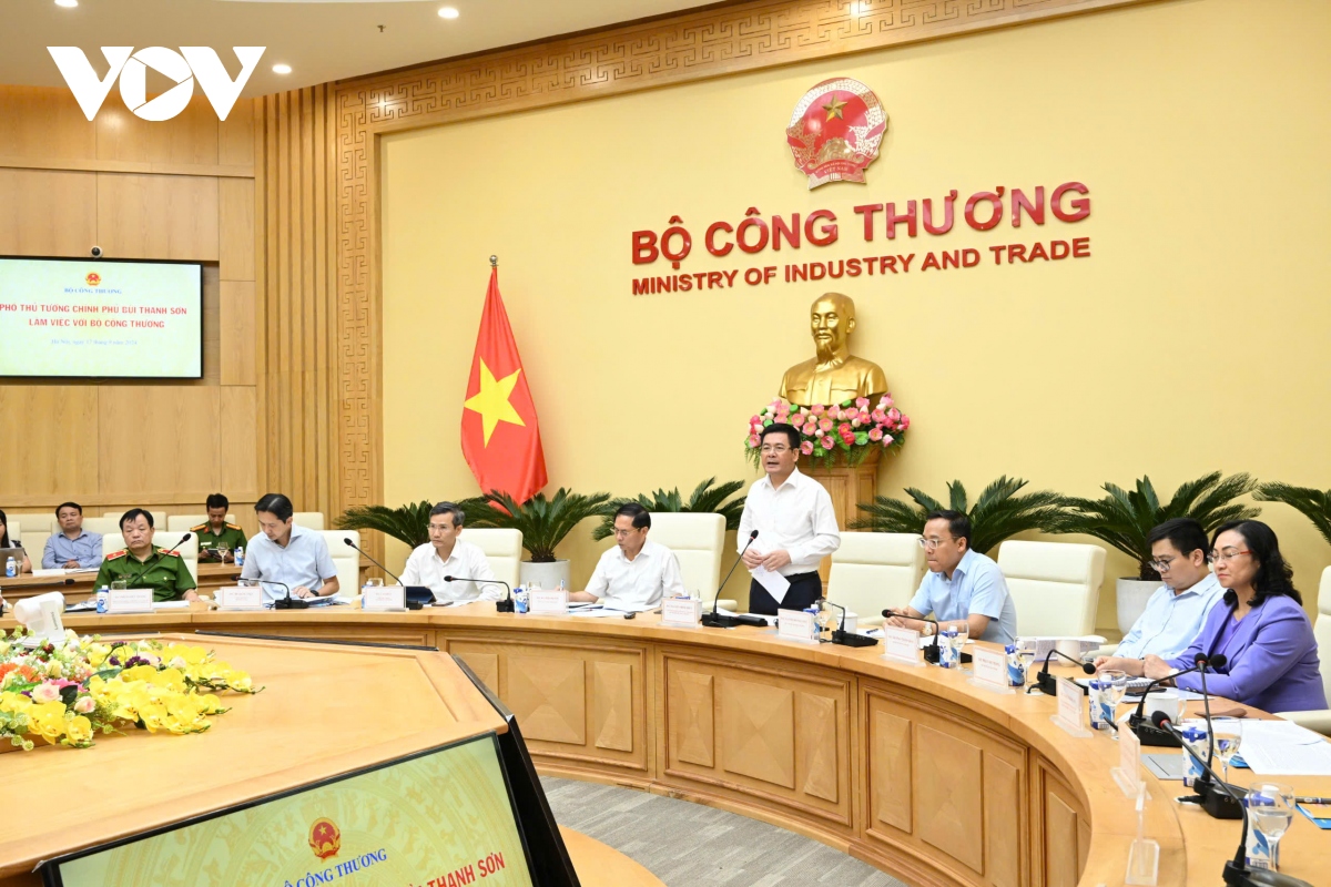 Phó Thủ tướng Bùi Thanh Sơn: Bộ Công Thương cần tập trung làm tốt 3 vấn đề lớn- Ảnh 3.