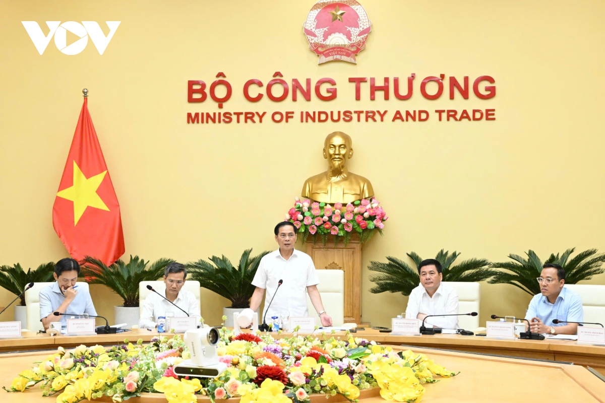 Phó Thủ tướng Bùi Thanh Sơn: Bộ Công Thương cần tập trung làm tốt 3 vấn đề lớn- Ảnh 2.