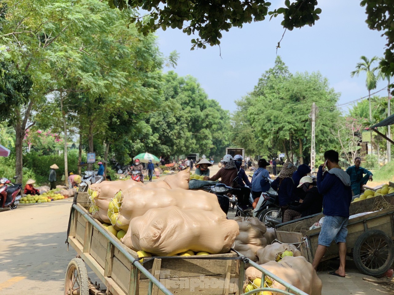 Độc đáo phiên chợ 'đệ nhất danh quả' nức tiếng Hà Tĩnh- Ảnh 5.