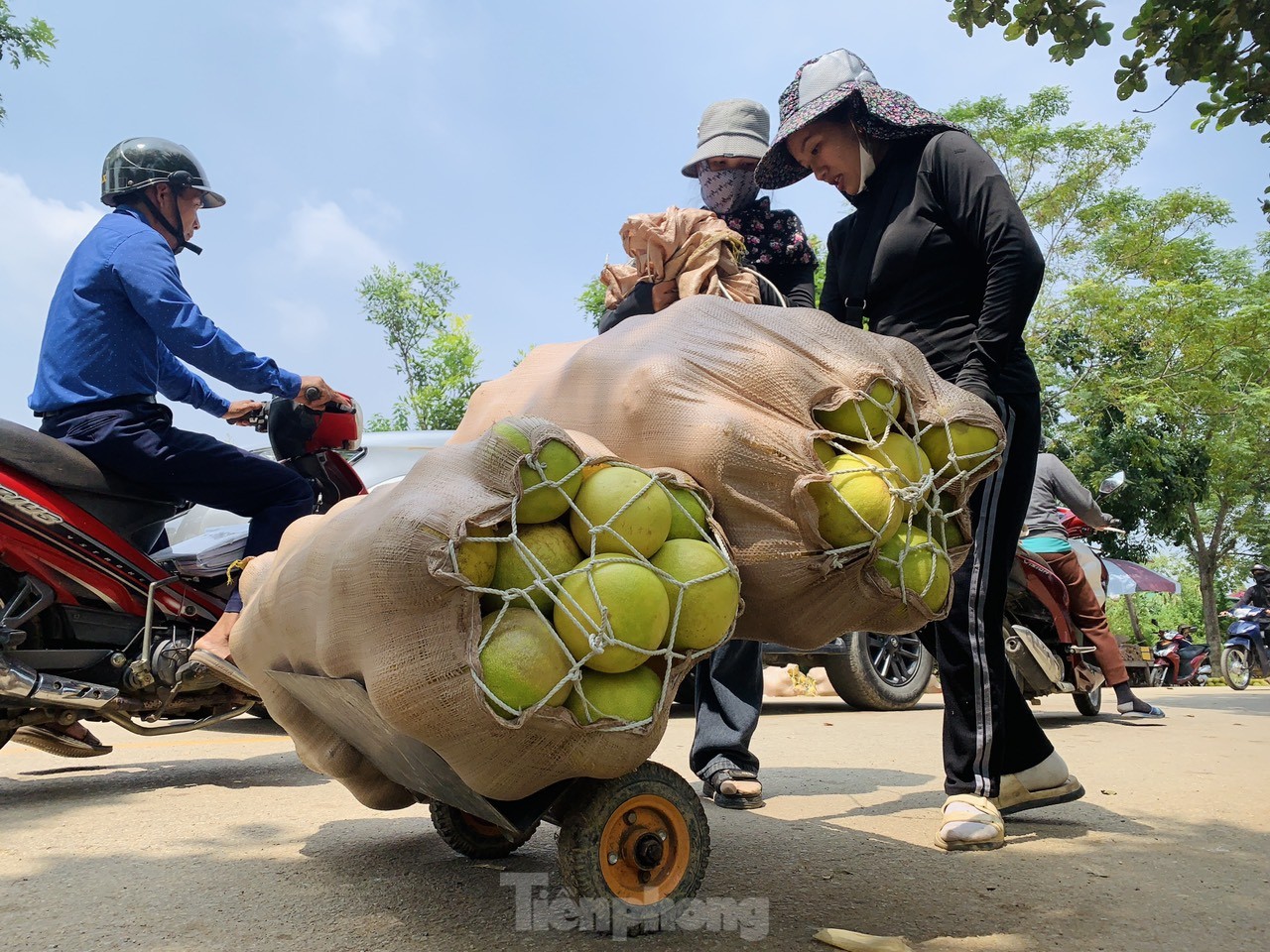 Độc đáo phiên chợ 'đệ nhất danh quả' nức tiếng Hà Tĩnh- Ảnh 6.