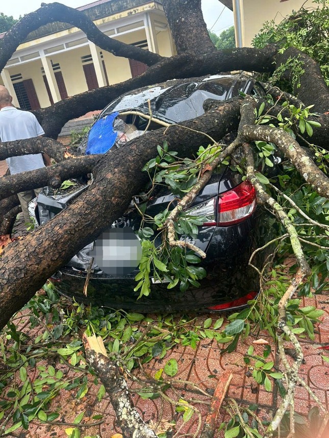 Mưa to, gãy cành xà cừ đè trúng 1 giáo viên, 4 ô tô bẹp rúm ở Thanh Hóa- Ảnh 1.