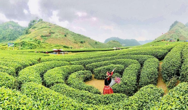 Địa phương Việt Nam từng được vinh danh "hàng đầu thế giới", được ví như viên ngọc xanh, mùa nào cũng đẹp- Ảnh 5.